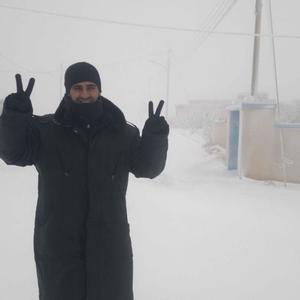 mohammadsaleh's avatar